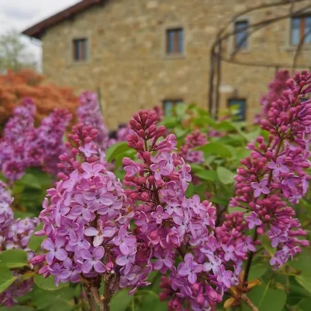 Casa di campagna Il Cerro Pelago