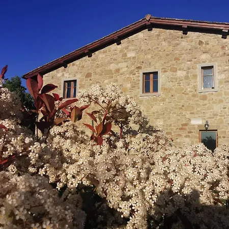 Il Cerro *