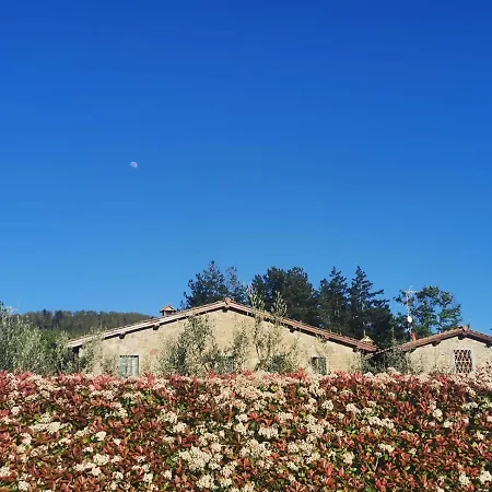 Il Cerro Pelago